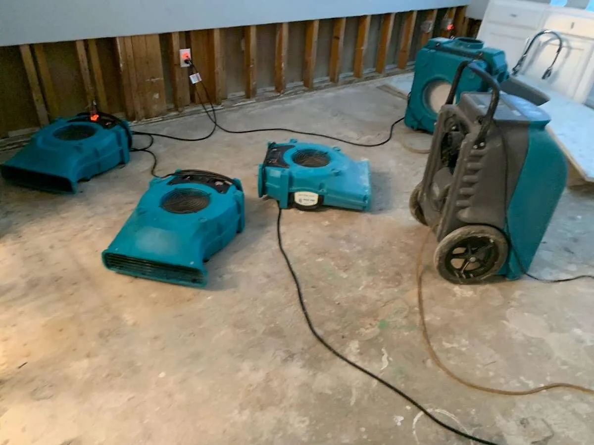 Water Damage Restoration services in Carrollton, MI